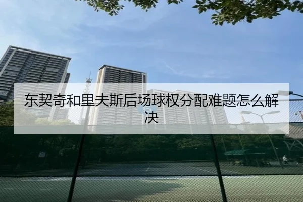 东契奇和里夫斯后场球权分配难题怎么解决